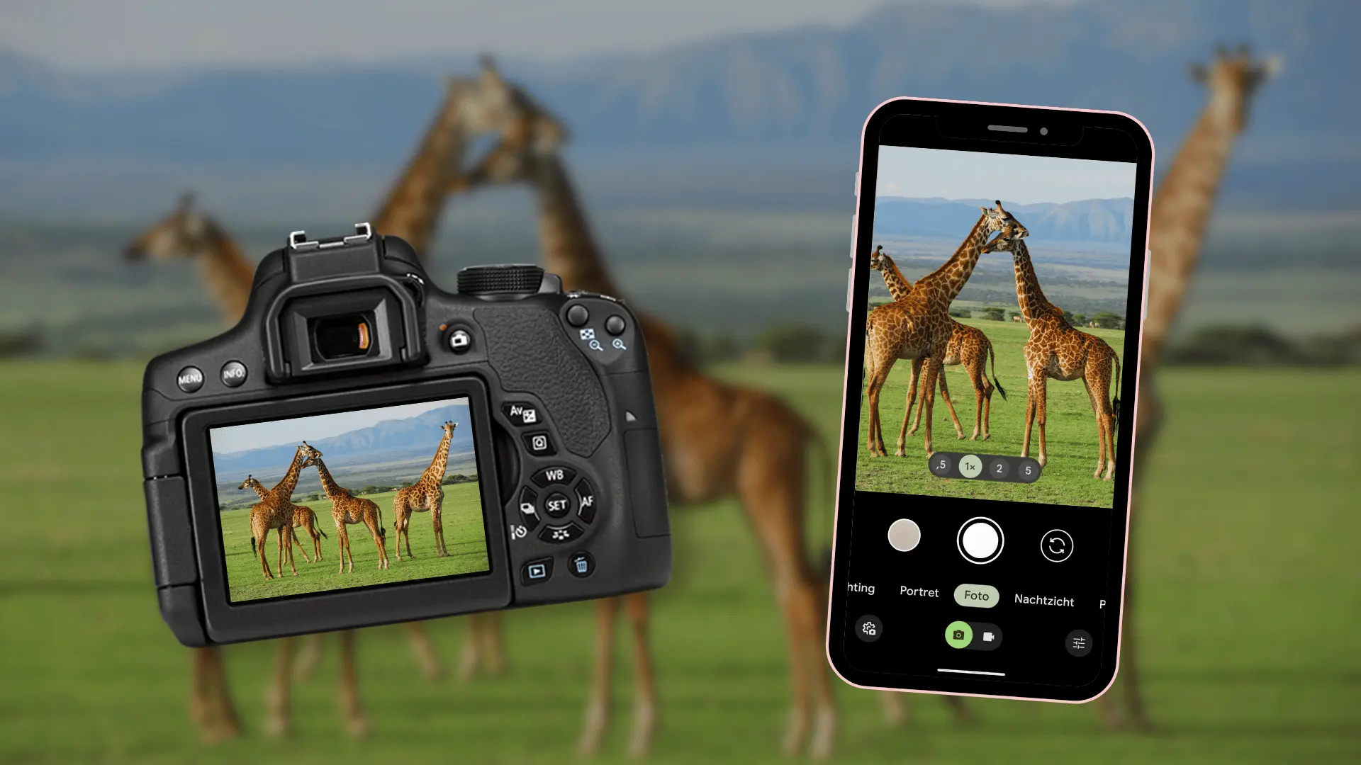 Zo neem je een foto van giraffen