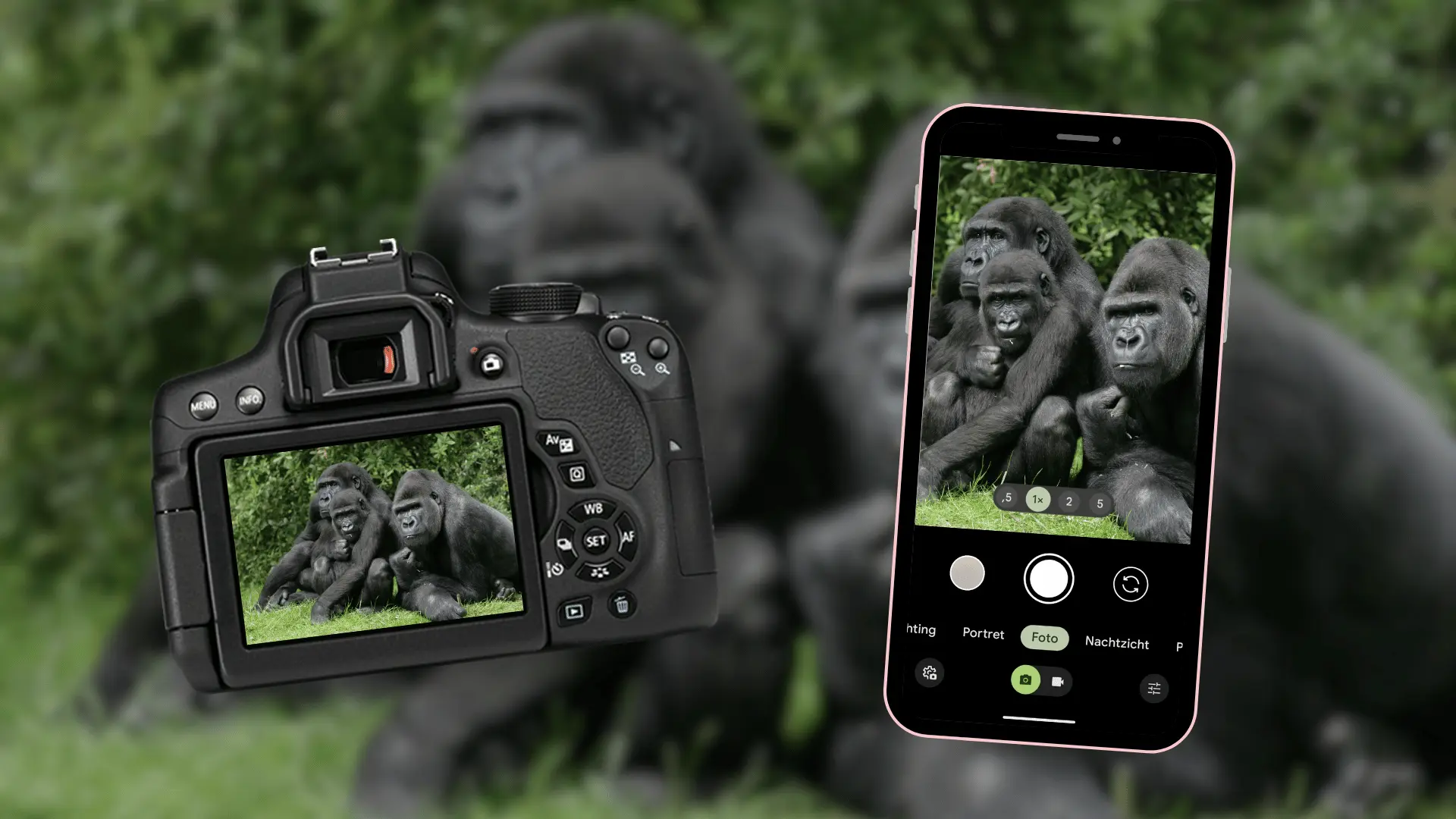 Zo neem je een foto van gorillas