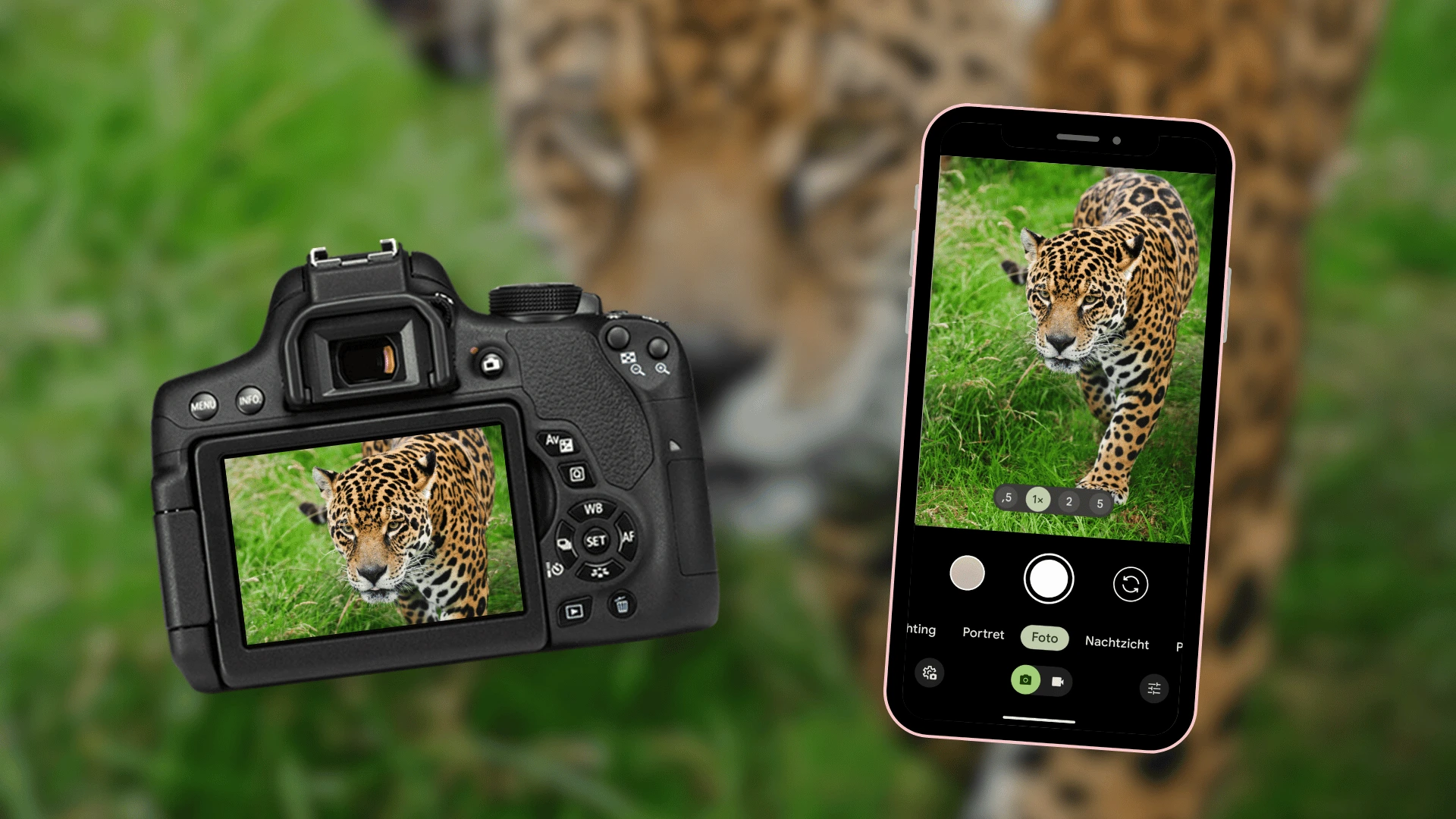 Zo neem je een foto van een jaguar