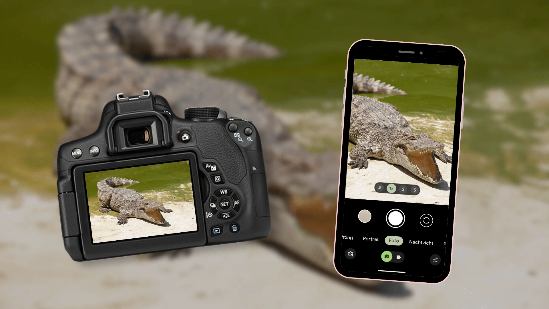 Zo neem je een foto van krokodillen