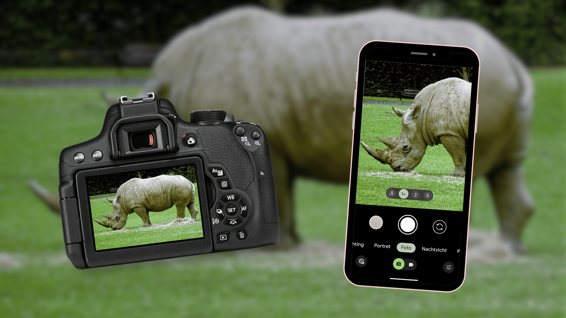 Zo neem je een foto van neushoorns