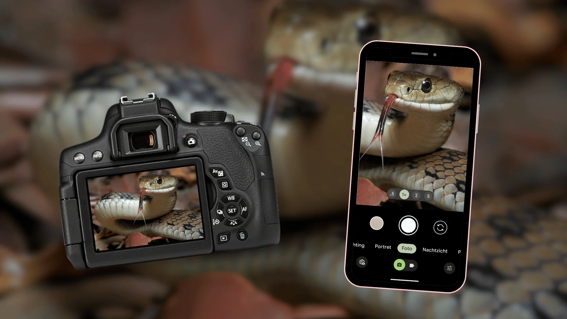 Zo neem je een foto van slangen
