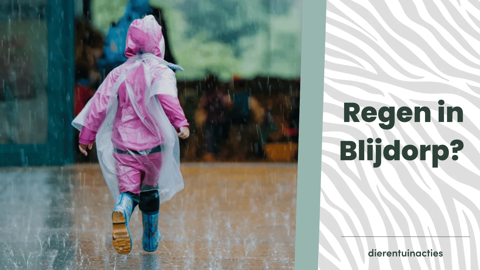 Regen in Blijdorp