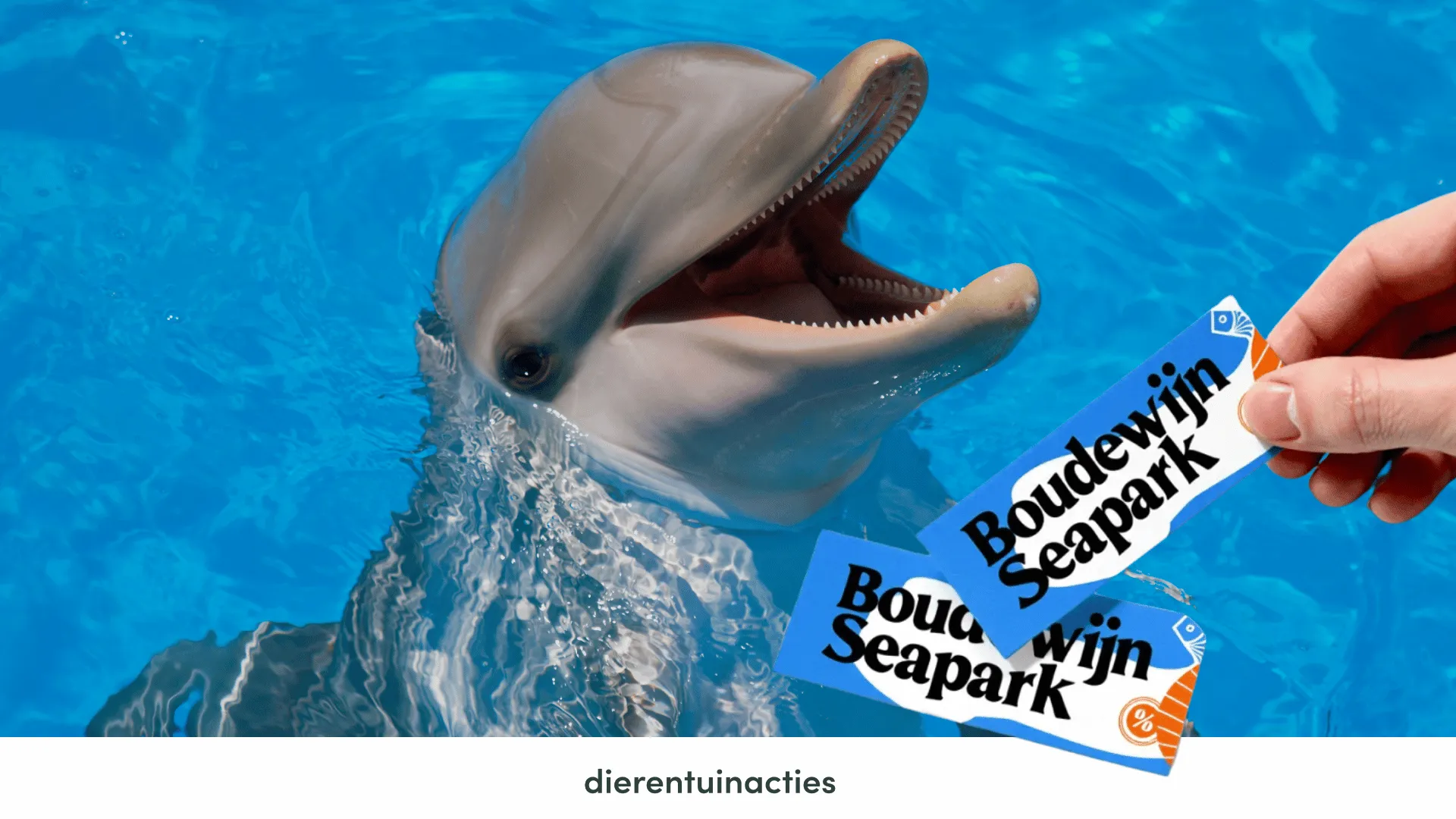 Boudewijn Seapark korting