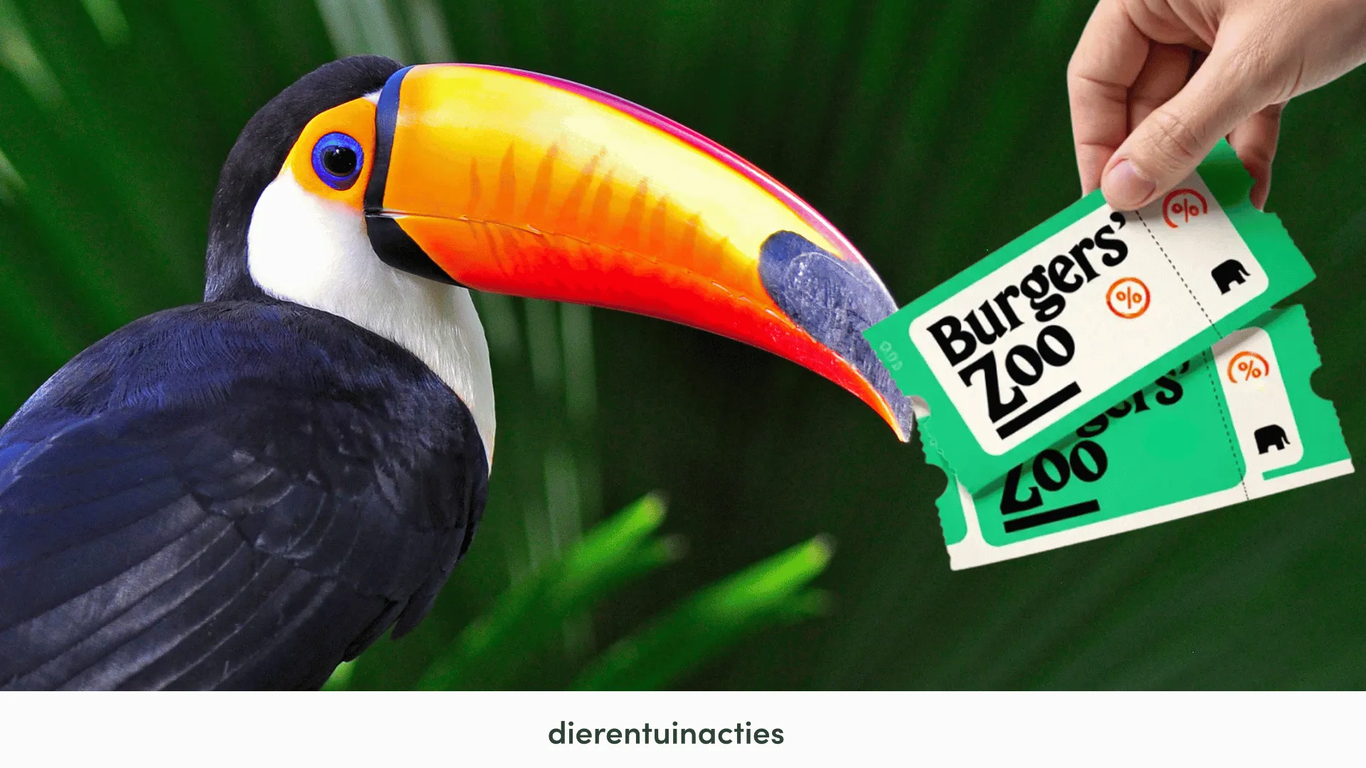 Burgers’ Zoo korting