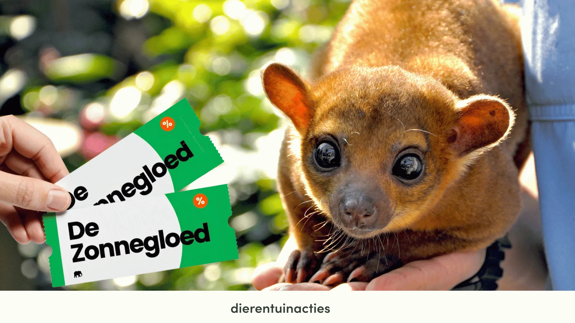 De Zonnegloed korting