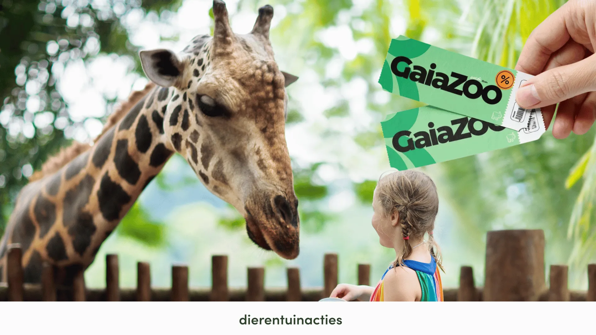 GaiaZOO korting