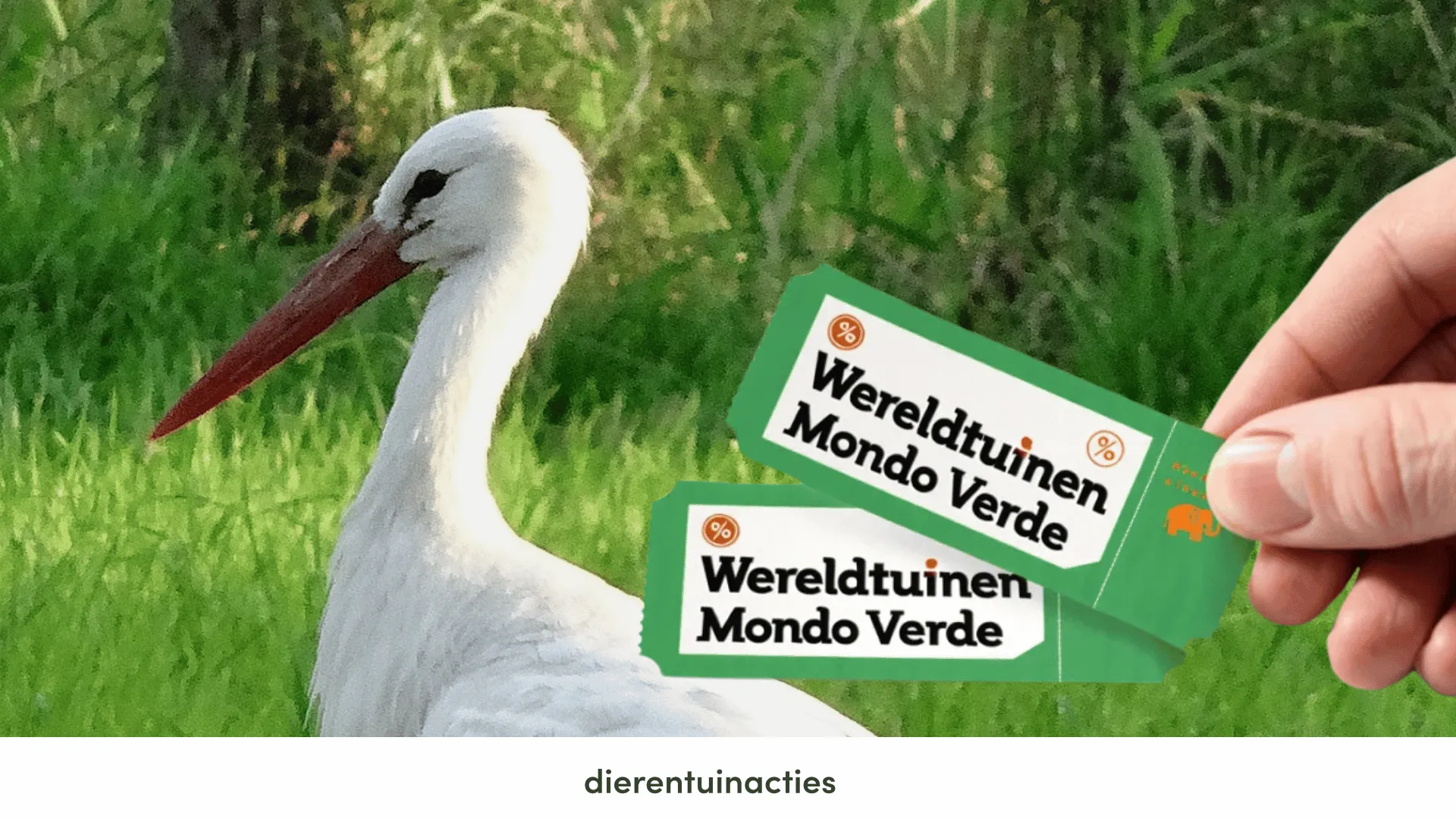 Mondo Verde korting