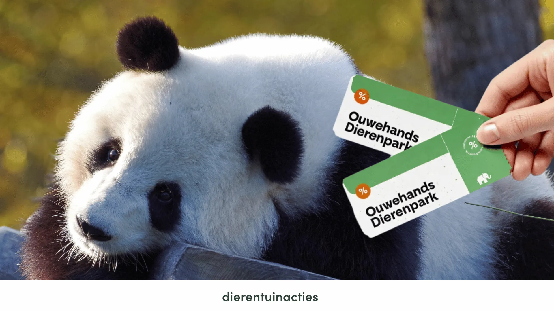 Ouwehands Dierenpark korting