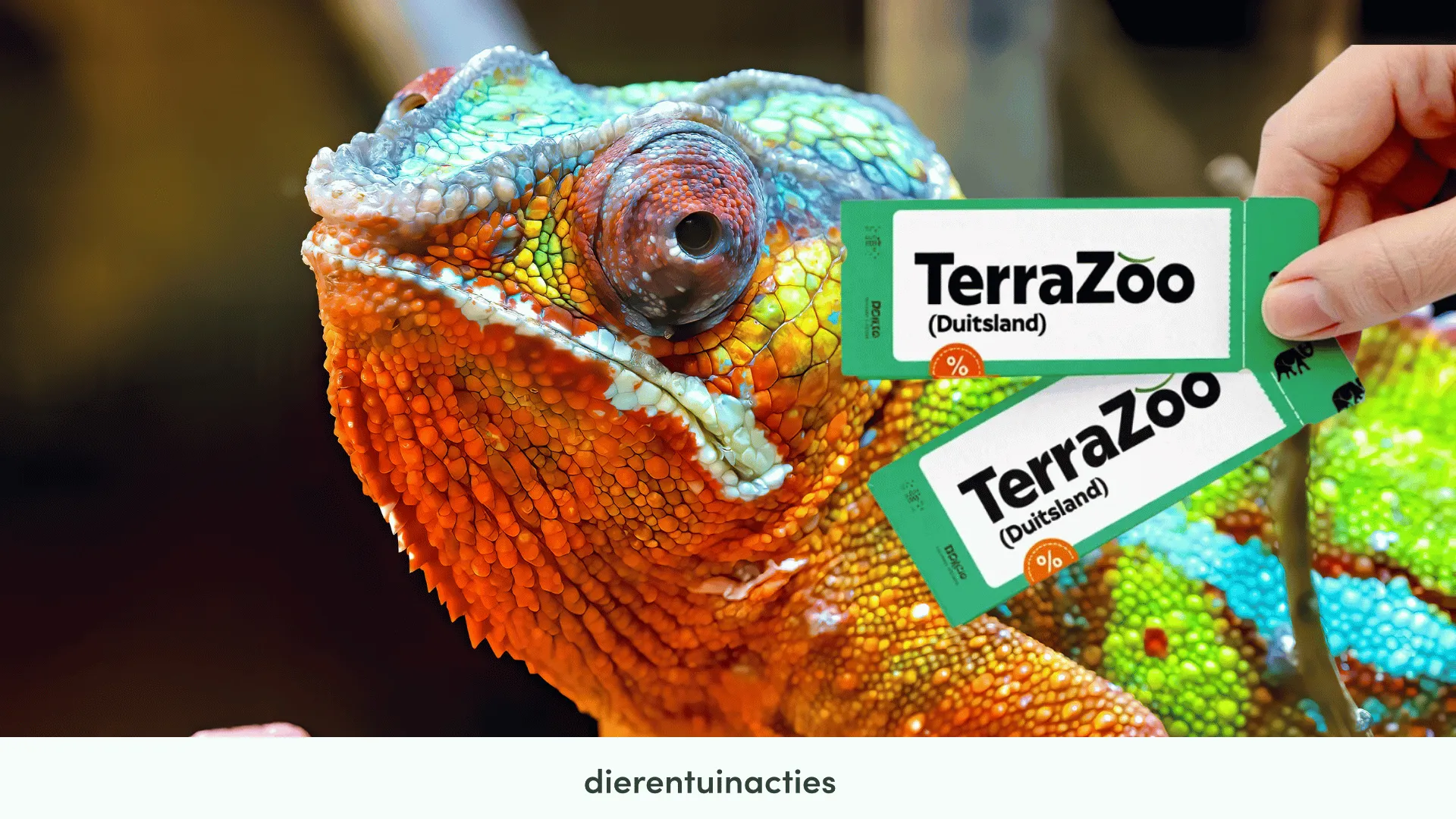 TerraZoo korting